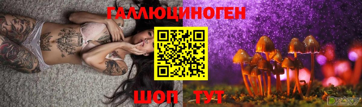 Славянск-на-Кубани  Псилоцибиновые грибы Cubensis  Вход с VPN  Псилоцибиновые грибы ЛСД 